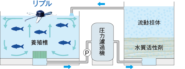 リプルカルチャーシステム
