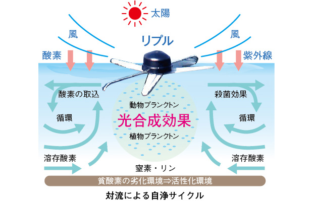 リプルの原理は、底水を太陽に天日干し水底に戻す「地球の自浄メカニズム」と同じです。